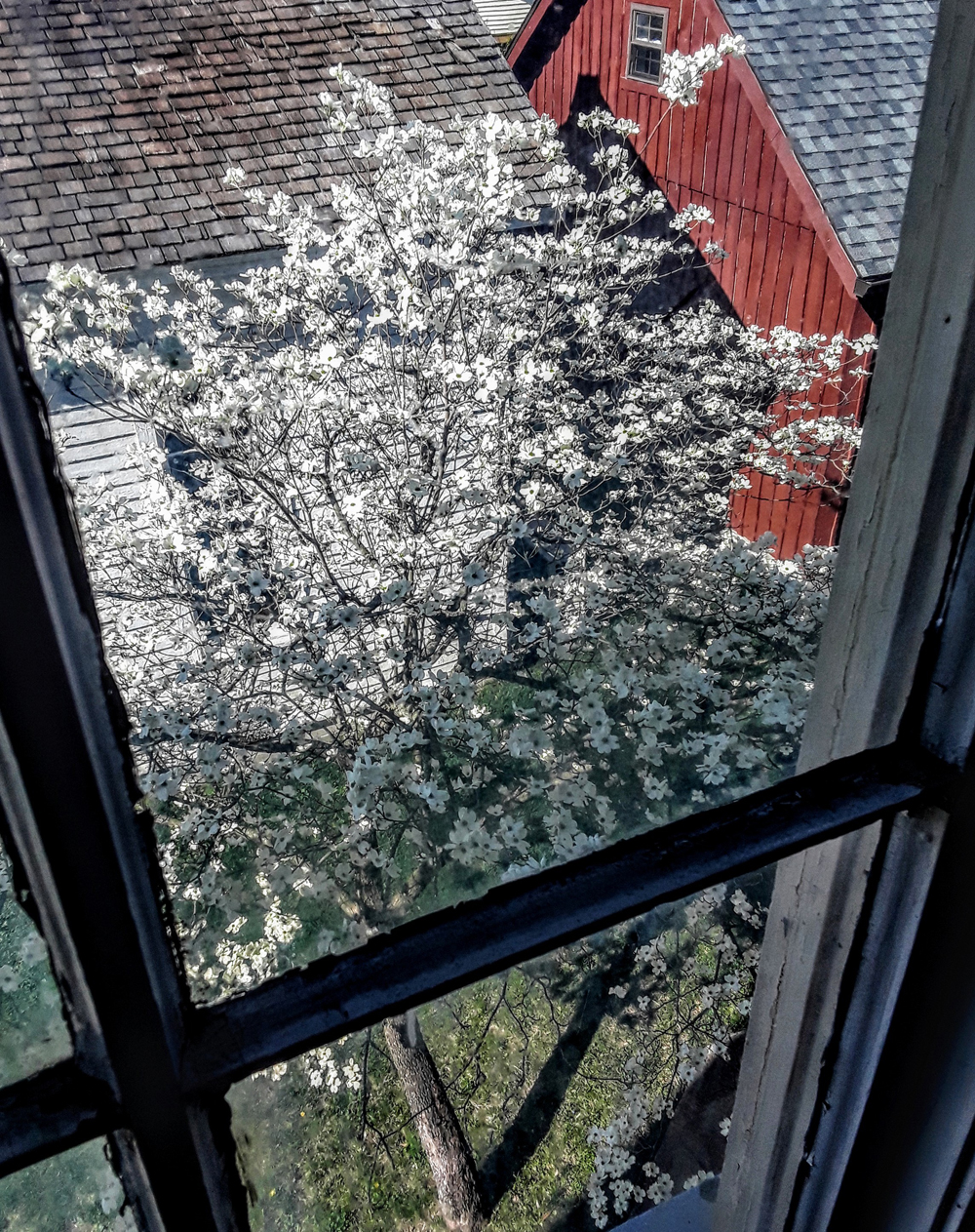 View from Nursery Window of Heritage House View from Nursery Window of Heritage House